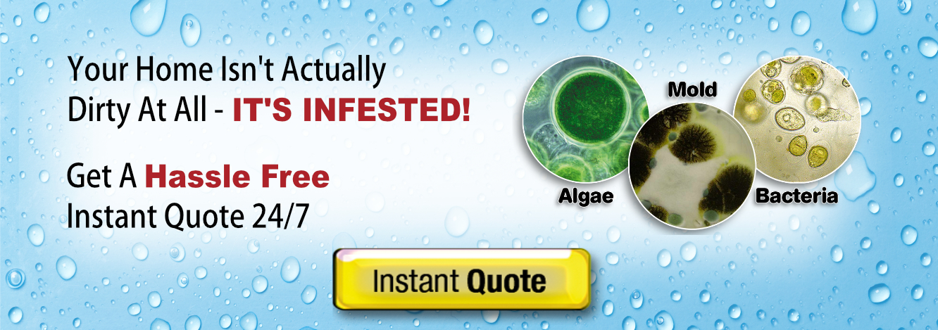 The Squeegee Clean Inc professional fleet of trucks is ready to serve you.